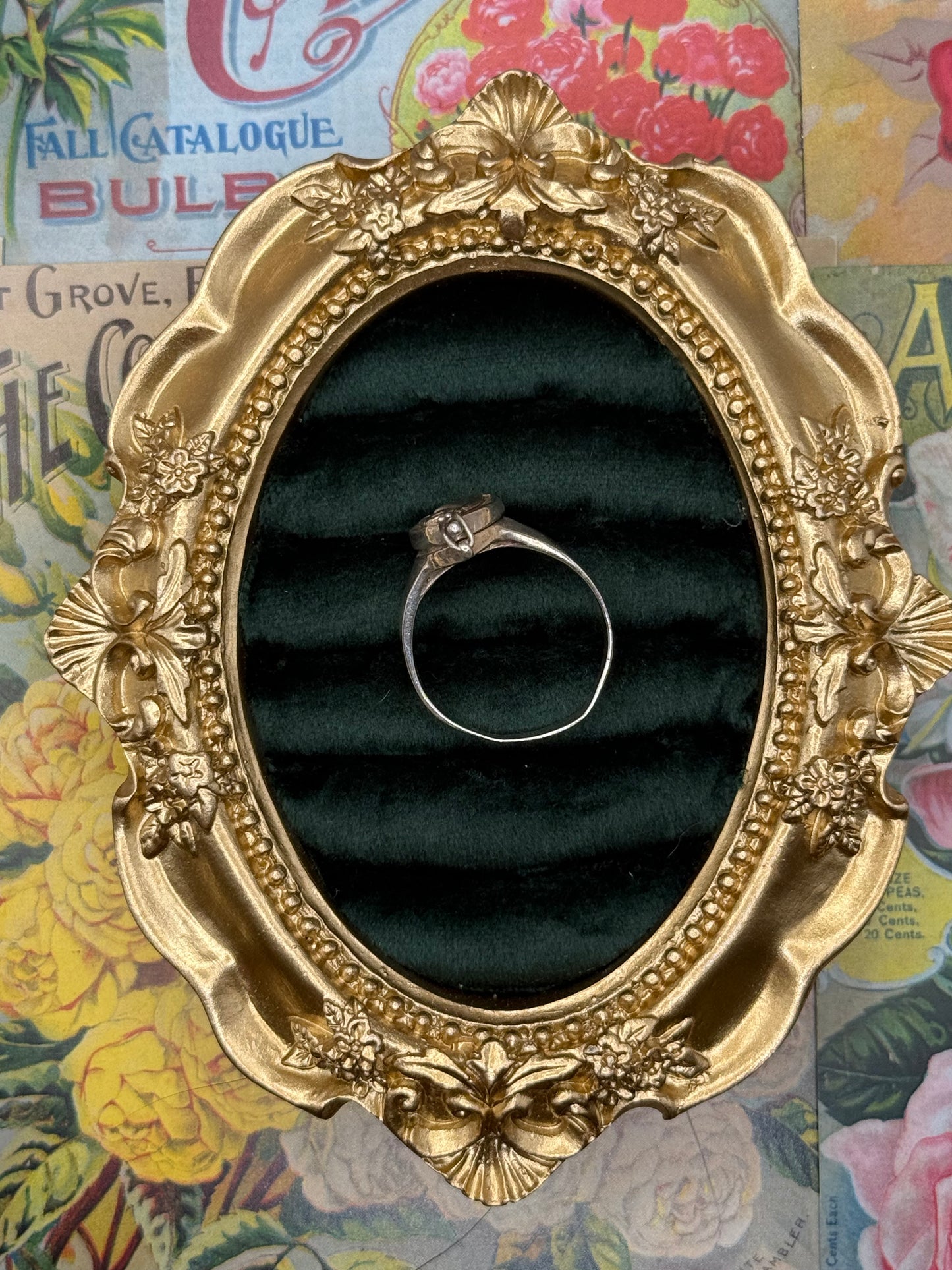 Vintage Sterling Silver Dolphin Poison Compartment Ring Size 10