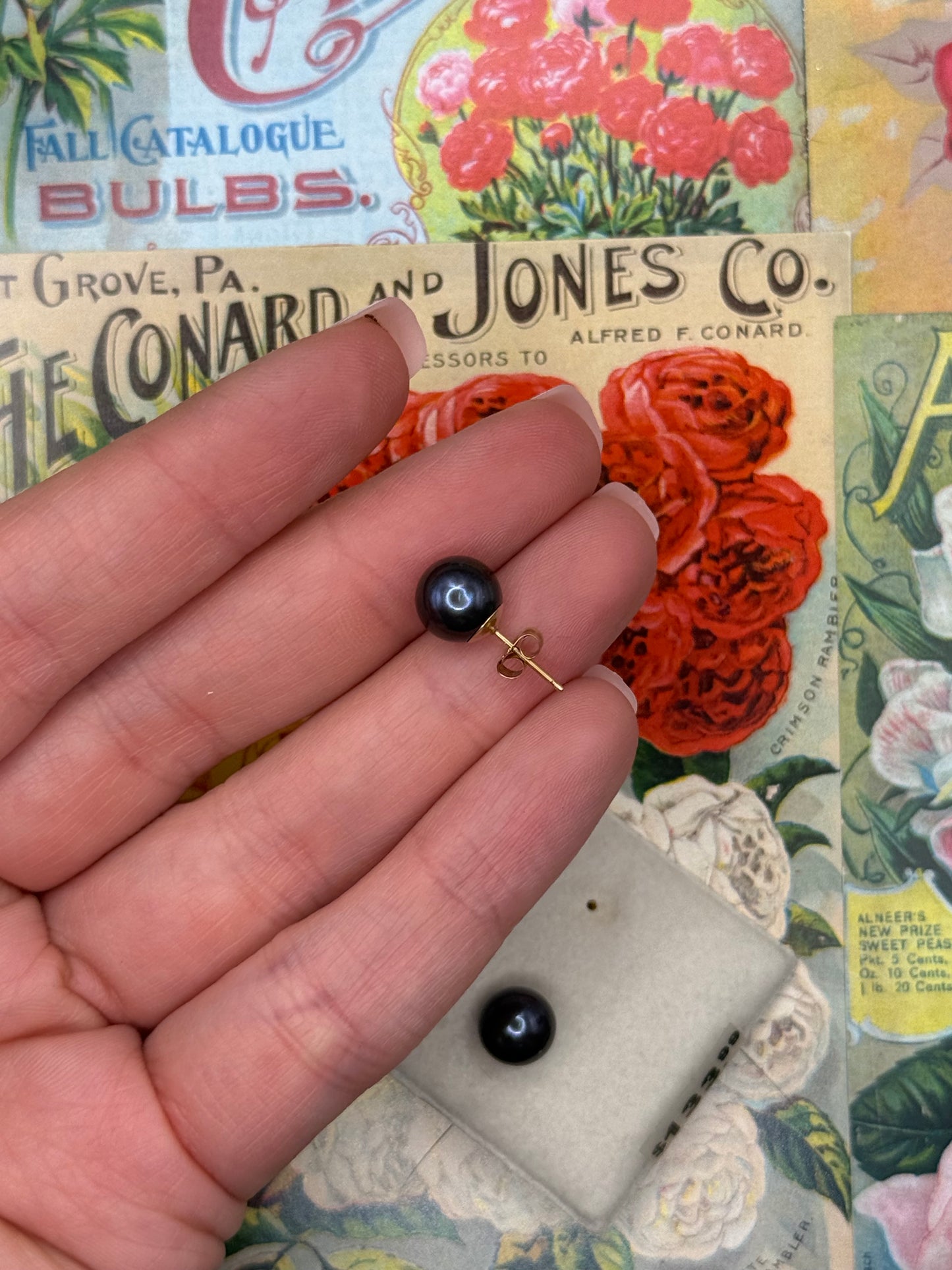 Vintage 10k Gold Black Pearl Stud Earrings 0.25”