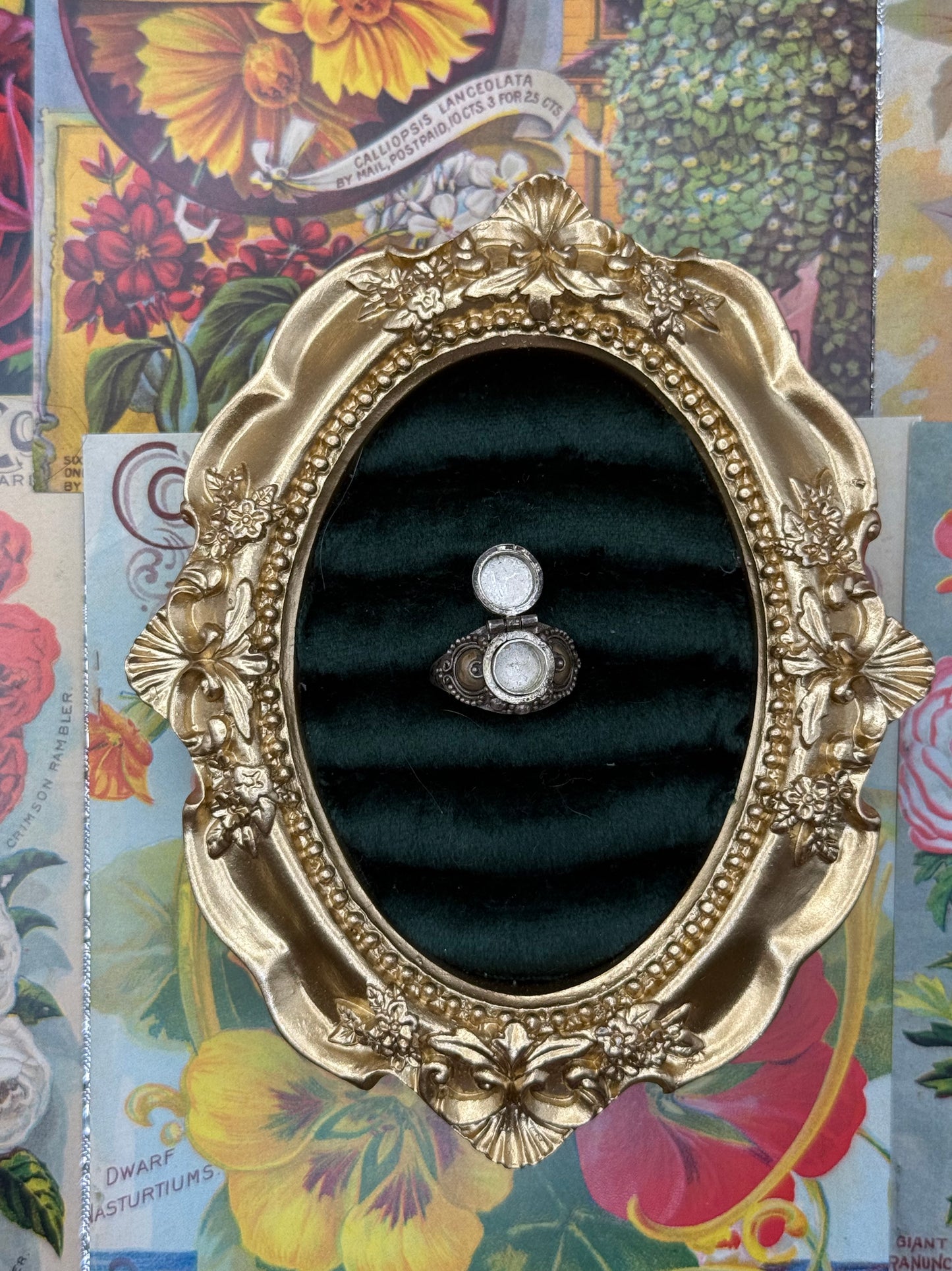 Sterling Silver Poison Ring Size 5.5