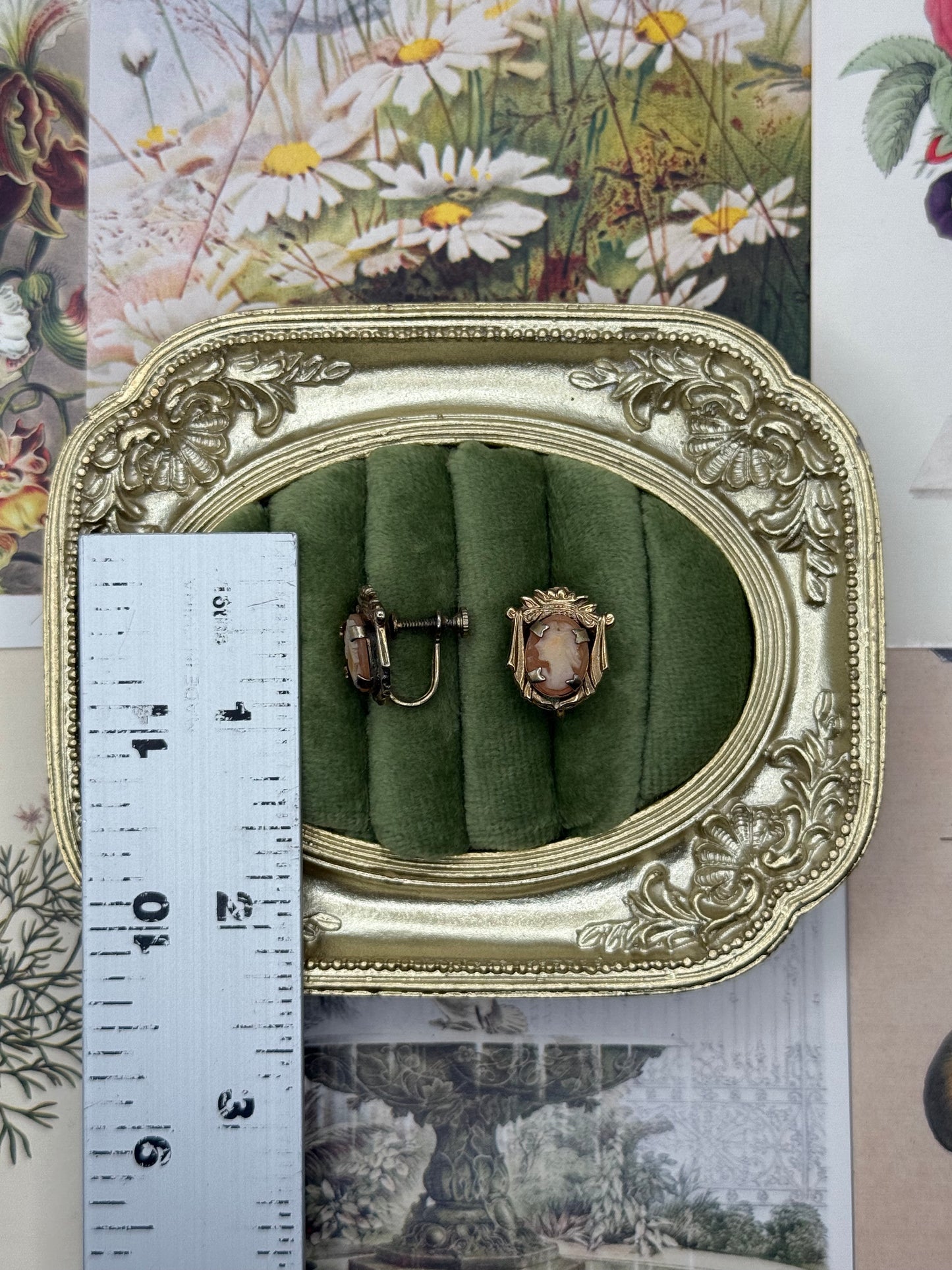Vintage Gold Tone Screw Back Earrings