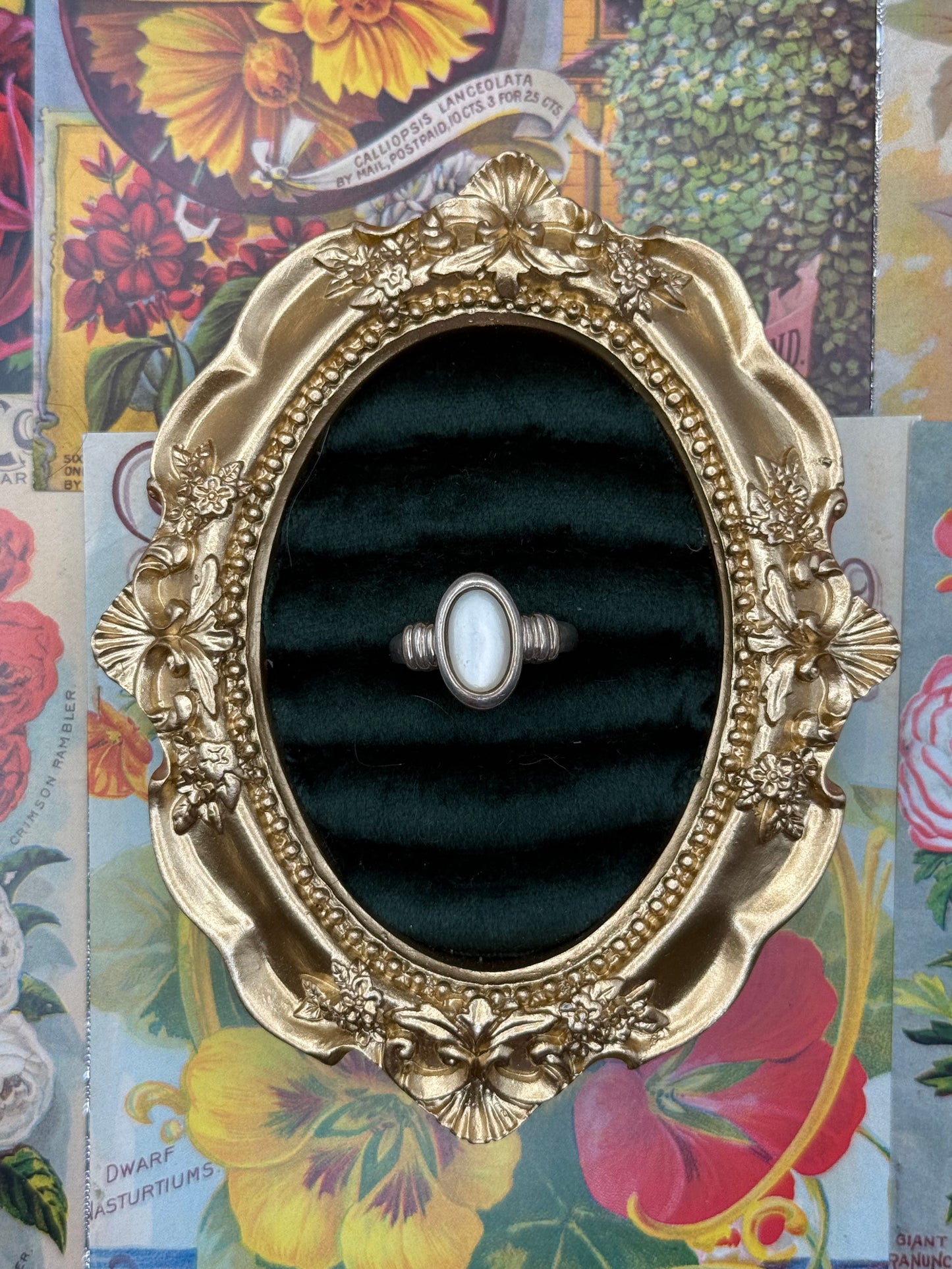 Sterling Silver Mother of Pearl Ring Size 9